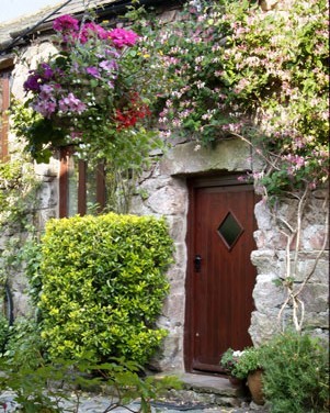 Hardknott Cottage - look out for birds amongst the flowers or nesting in the wall!